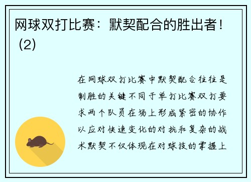 网球双打比赛：默契配合的胜出者！ (2)